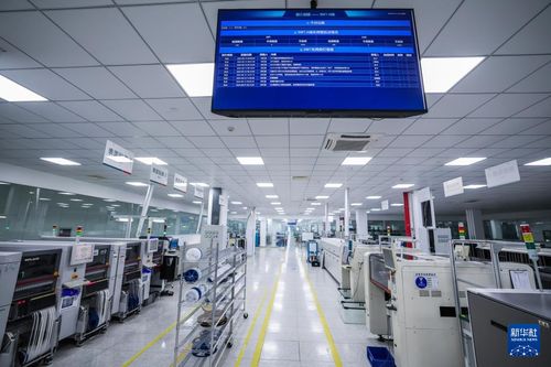浙江金華 以“智改數轉”為引擎，驅動企業高質量發展